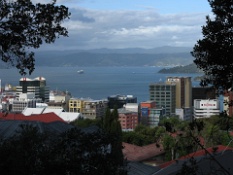 Harbor as Seen From Atop the Botanical Gardens.JPG